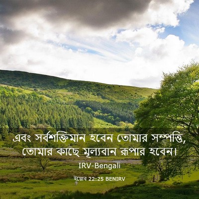 Picture 03 - ইয়োব 22:25 BENIRV - এবং সর্বশক্তিমান - Bible Verse Picture