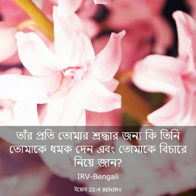 Picture 03 - ইয়োব 22:4 BENIRV - তাঁর প্রতি তোমার - Bible Verse Picture