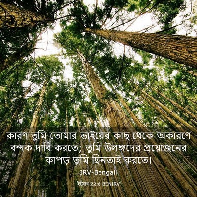 Picture 03 - ইয়োব 22:6 BENIRV - কারণ তুমি তোমার - Bible Verse Picture