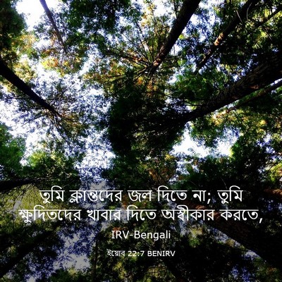 Picture 03 - ইয়োব 22:7 BENIRV - তুমি ক্লান্তদের - Bible Verse Picture