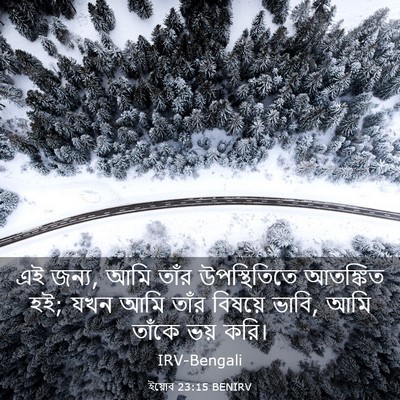 Picture 03 - ইয়োব 23:15 BENIRV - এই জন্য, আমি তাঁর - Bible Verse Picture
