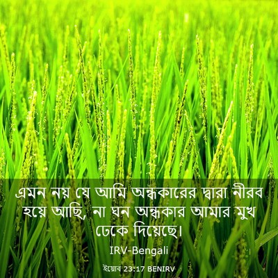 Picture 03 - ইয়োব 23:17 BENIRV - এমন নয় যে আমি - Bible Verse Picture