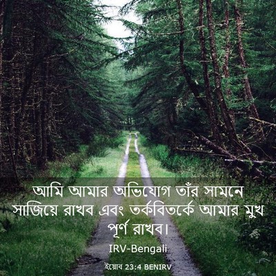 Picture 03 - ইয়োব 23:4 BENIRV - আমি আমার অভিযোগ - Bible Verse Picture
