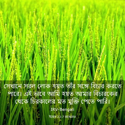 Picture 03 - ইয়োব 23:7 BENIRV - সেখানে সরল লোক - Bible Verse Picture
