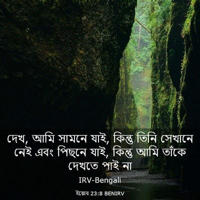 Picture 03 - ইয়োব 23:8 BENIRV - দেখ, আমি সামনে যাই, - Bible Verse Picture