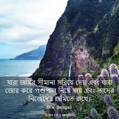 Picture 03 - ইয়োব 24:2 BENIRV - যারা জমির সীমানা - Bible Verse Picture