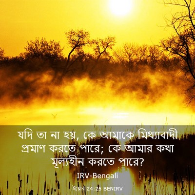 Picture 03 - ইয়োব 24:25 BENIRV - যদি তা না হয়, কে - Bible Verse Picture