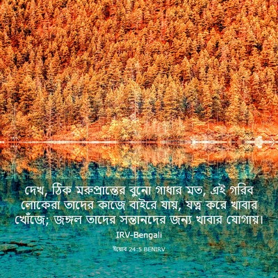 Picture 03 - ইয়োব 24:5 BENIRV - দেখ, ঠিক - Bible Verse Picture