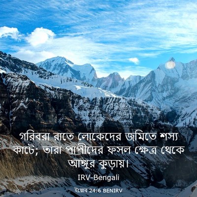 Picture 03 - ইয়োব 24:6 BENIRV - গরিবরা রাতে - Bible Verse Picture