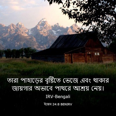 Picture 03 - ইয়োব 24:8 BENIRV - তারা পাহাড়ের - Bible Verse Picture