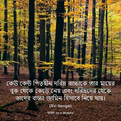 Picture 03 - ইয়োব 24:9 BENIRV - কেউ কেউ পিতৃহীন - Bible Verse Picture
