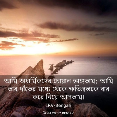 Picture 03 - ইয়োব 29:17 BENIRV - আমি অধার্মিকদের - Bible Verse Picture