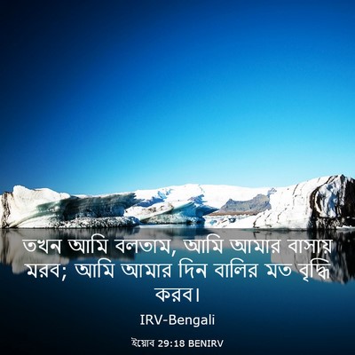Picture 03 - ইয়োব 29:18 BENIRV - তখন আমি বলতাম, আমি - Bible Verse Picture