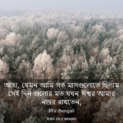 Picture 03 - ইয়োব 29:2 BENIRV - আহা, যেমন আমি গত - Bible Verse Picture