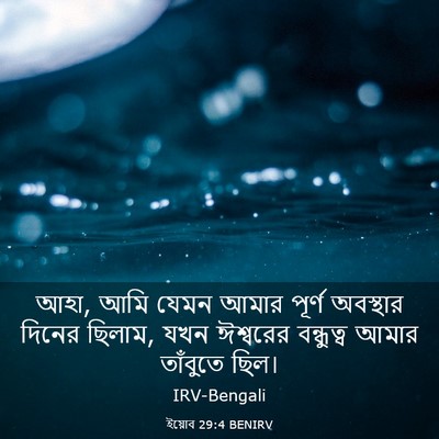 Picture 03 - ইয়োব 29:4 BENIRV - আহা, আমি যেমন আমার - Bible Verse Picture