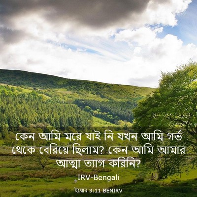 Picture 03 - ইয়োব 3:11 BENIRV - কেন আমি মরে যাই নি - Bible Verse Picture