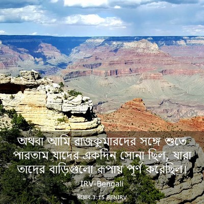 Picture 03 - ইয়োব 3:15 BENIRV - অথবা আমি - Bible Verse Picture