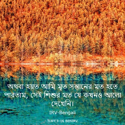 Picture 03 - ইয়োব 3:16 BENIRV - অথবা হয়ত আমি মৃত - Bible Verse Picture