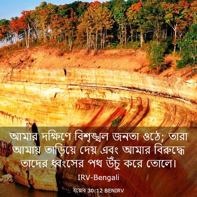 Picture 03 - ইয়োব 30:12 BENIRV - আমার দক্ষিণে - Bible Verse Picture