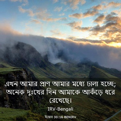 Picture 03 - ইয়োব 30:16 BENIRV - এখন আমার প্রাণ - Bible Verse Picture