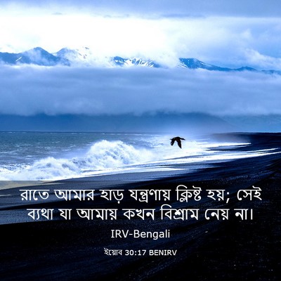 Picture 03 - ইয়োব 30:17 BENIRV - রাতে আমার হাড় - Bible Verse Picture