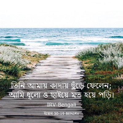 Picture 03 - ইয়োব 30:19 BENIRV - তিনি আমায় কাদায় - Bible Verse Picture