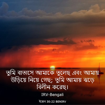 Picture 03 - ইয়োব 30:22 BENIRV - তুমি বাতাসে আমাকে - Bible Verse Picture