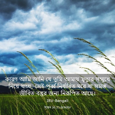 Picture 03 - ইয়োব 30:23 BENIRV - কারণ আমি জানি যে - Bible Verse Picture