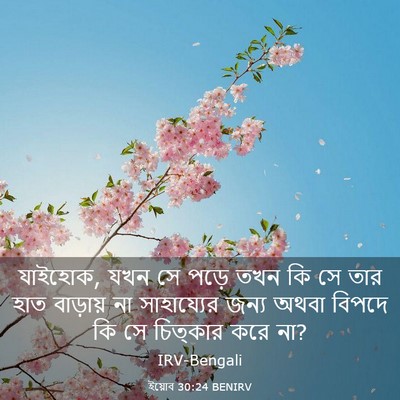 Picture 03 - ইয়োব 30:24 BENIRV - যাইহোক, যখন সে পড়ে - Bible Verse Picture
