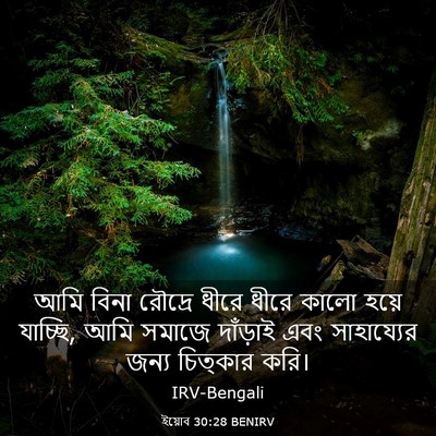 Picture 03 - ইয়োব 30:28 BENIRV - আমি বিনা রৌদ্রে - Bible Verse Picture