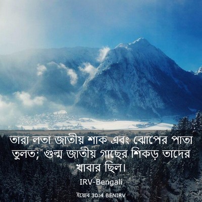 Picture 03 - ইয়োব 30:4 BENIRV - তারা লতা জাতীয় - Bible Verse Picture
