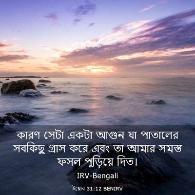 Picture 03 - ইয়োব 31:12 BENIRV - কারণ সেটা একটা - Bible Verse Picture