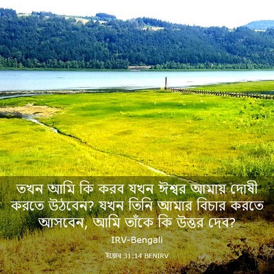 Picture 03 - ইয়োব 31:14 BENIRV - তখন আমি কি করব যখন - Bible Verse Picture