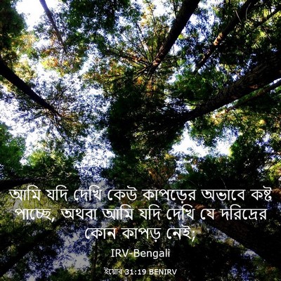Picture 03 - ইয়োব 31:19 BENIRV - আমি যদি দেখি কেউ - Bible Verse Picture