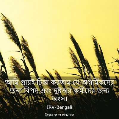 Picture 03 - ইয়োব 31:3 BENIRV - আমি প্রায়ই - Bible Verse Picture