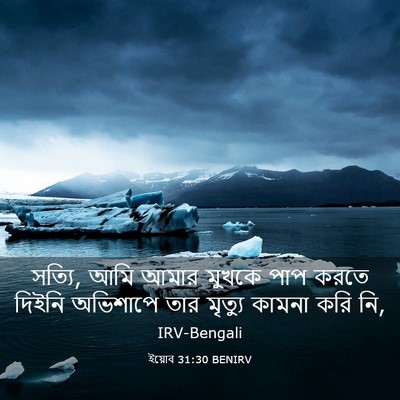 Picture 03 - ইয়োব 31:30 BENIRV - সত্যি, আমি আমার - Bible Verse Picture
