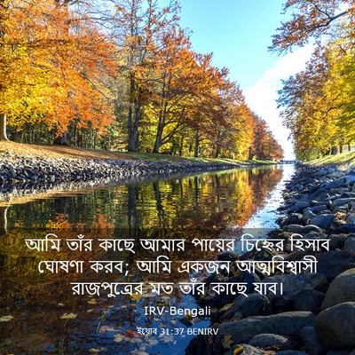 Picture 03 - ইয়োব 31:37 BENIRV - আমি তাঁর কাছে আমার - Bible Verse Picture