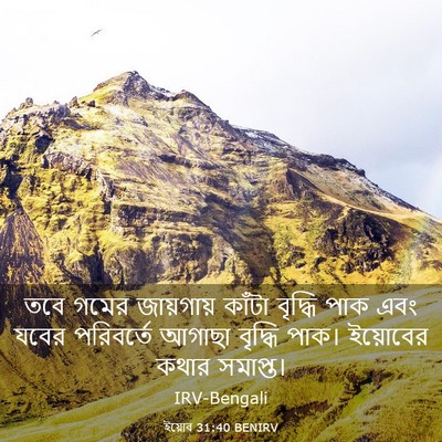 Picture 03 - ইয়োব 31:40 BENIRV - তবে গমের জায়গায় - Bible Verse Picture