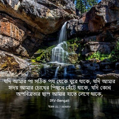 Picture 03 - ইয়োব 31:7 BENIRV - যদি আমার পা সঠিক পথ - Bible Verse Picture