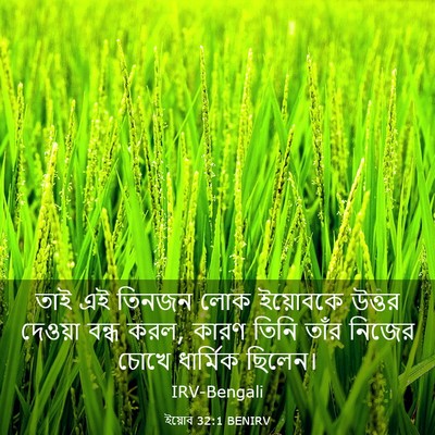 Picture 03 - ইয়োব 32:1 BENIRV - তাই এই তিনজন লোক - Bible Verse Picture