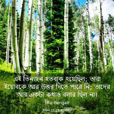 Picture 03 - ইয়োব 32:15 BENIRV - এই তিনজন হতবাক - Bible Verse Picture