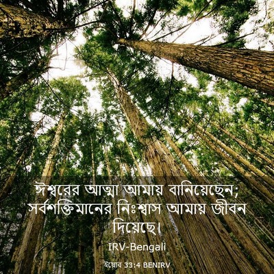Picture 03 - ইয়োব 33:4 BENIRV - ঈশ্বরের আত্মা - Bible Verse Picture