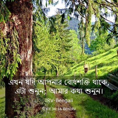 Picture 03 - ইয়োব 34:16 BENIRV - এখন যদি আপনার - Bible Verse Picture