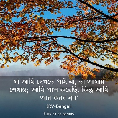 Picture 03 - ইয়োব 34:32 BENIRV - যা আমি দেখতে পাই - Bible Verse Picture