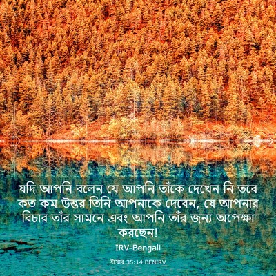 Picture 03 - ইয়োব 35:14 BENIRV - যদি আপনি বলেন যে - Bible Verse Picture