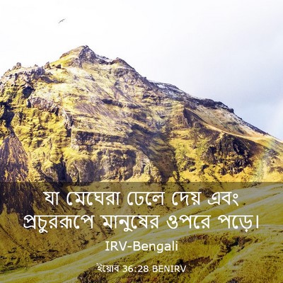 Picture 03 - ইয়োব 36:28 BENIRV - যা মেঘেরা ঢেলে - Bible Verse Picture