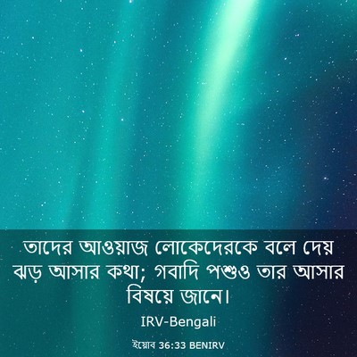 Picture 03 - ইয়োব 36:33 BENIRV - তাদের আওয়াজ - Bible Verse Picture