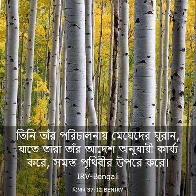 Picture 03 - ইয়োব 37:12 BENIRV - তিনি তাঁর - Bible Verse Picture