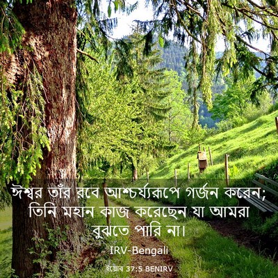 Picture 03 - ইয়োব 37:5 BENIRV - ঈশ্বর তাঁর রবে - Bible Verse Picture