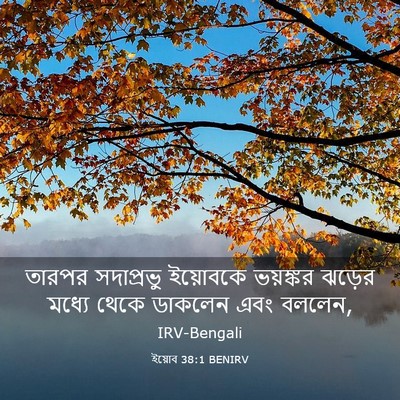 Picture 03 - ইয়োব 38:1 BENIRV - তারপর সদাপ্রভু - Bible Verse Picture